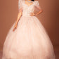Product Title: Blush Pink Embellished Ball Gown