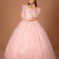 Enchanting Blush Pink Ball Gown
