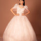 Product Title: Blush Pink Embellished Ball Gown