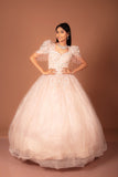 Product Title: Blush Pink Embellished Ball Gown