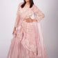 Blush Pink.hand embroidery Lehenga Set
