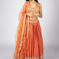 Product Title: Elegant Orange Embroidered Lehenga Choli Set
