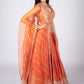 Product Title: Elegant Orange Embroidered Lehenga Choli Set